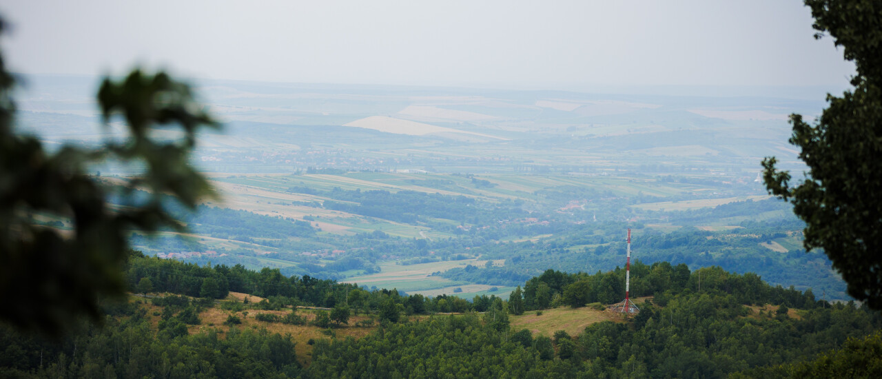 Elkezdtük a MangoVlogot - Jelentkezz a fotós sulira