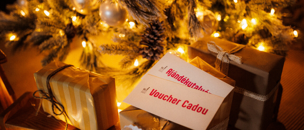 Ședință foto de Crăciun 2024 & Voucher cadou