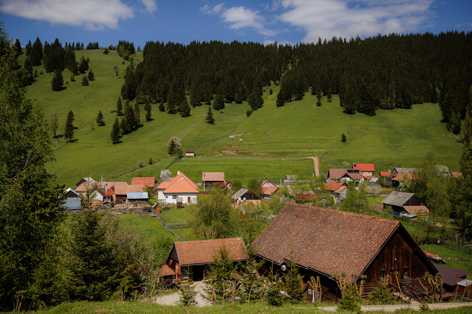 Scenic wedding setting in Gy&iacute;mes with traditional Transylvanian atmosphere