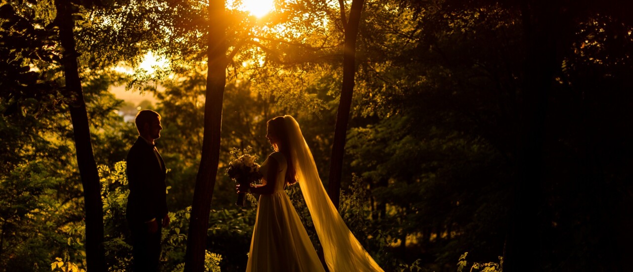 Gabi & Imi - Nuntă la Afrodita